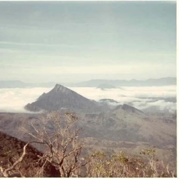 Hill 800 mountain where NVA Battalion Base Camp was found
