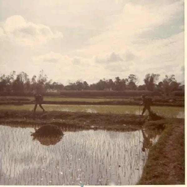 Soldiers crossing rice paddies with no cover